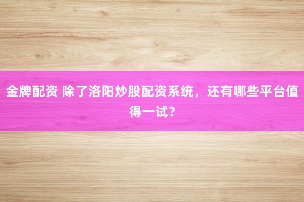 金牌配资 除了洛阳炒股配资系统，还有哪些平台值得一试？