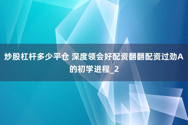 炒股杠杆多少平仓 深度领会好配资翻翻配资过劲A的初学进程_2