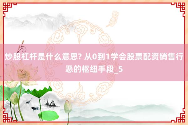 炒股杠杆是什么意思? 从0到1学会股票配资销售行恶的枢纽手段_5