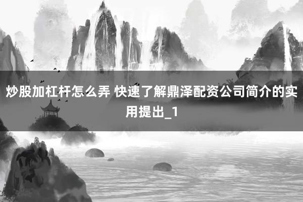 炒股加杠杆怎么弄 快速了解鼎泽配资公司简介的实用提出_1
