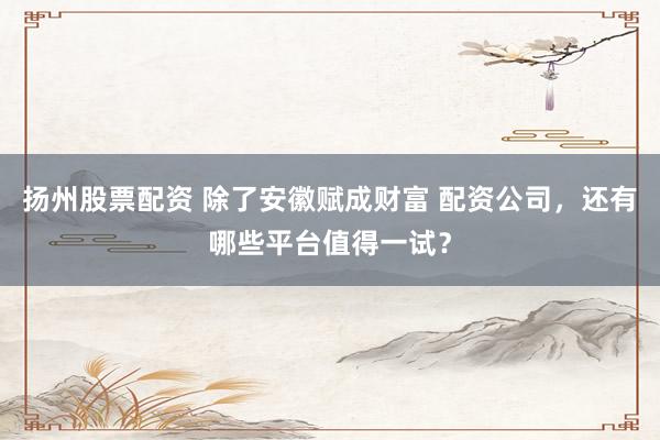扬州股票配资 除了安徽赋成财富 配资公司,还有哪些平台值得一试?