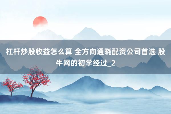 杠杆炒股收益怎么算 全方向通晓配资公司首选 股牛网的初学经过_2