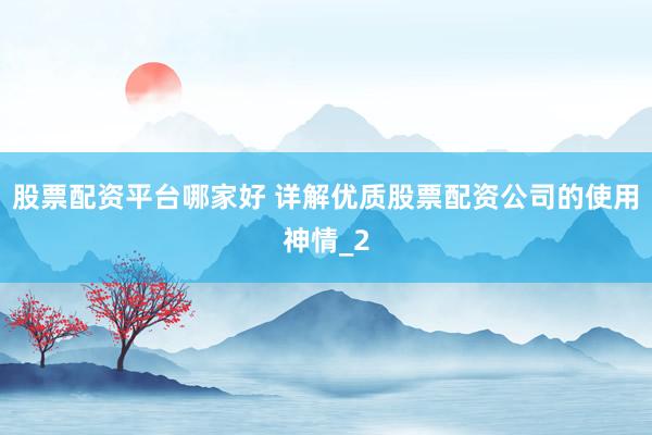 股票配资平台哪家好 详解优质股票配资公司的使用神情_2