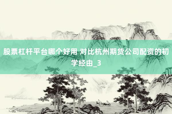 股票杠杆平台哪个好用 对比杭州期货公司配资的初学经由_3