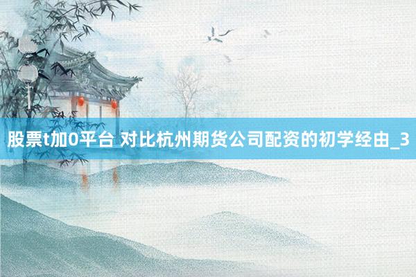 股票t加0平台 对比杭州期货公司配资的初学经由_3