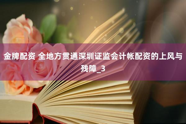 金牌配资 全地方贯通深圳证监会计帐配资的上风与残障_3